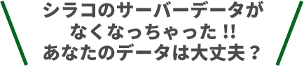 シラコのサーバーデータがなくなっちゃった!!あなたのデータは大丈夫?